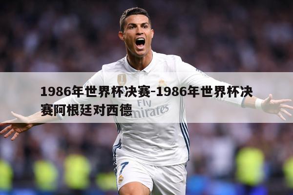1986年世界杯决赛-1986年世界杯决赛阿根廷对西德