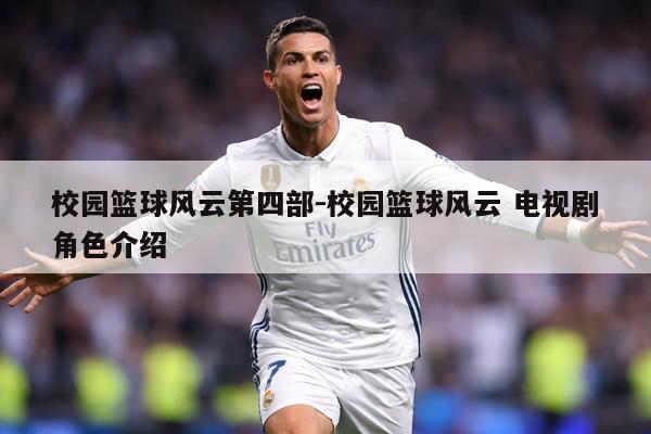 校园篮球风云第四部-校园篮球风云 电视剧角色介绍